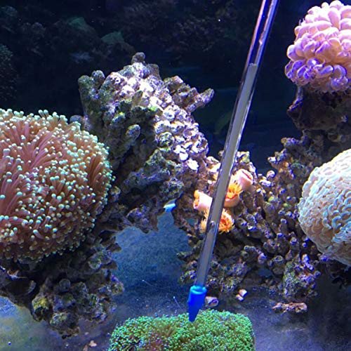 POPETPOP jeringa de alimentación de coral-15.7 Pulgadas alimentador de Coral SPS hps alimentador Herramienta de alimentación de Coral versión Corta para Peces Marinos y acuarios de Coral de Arrecife
