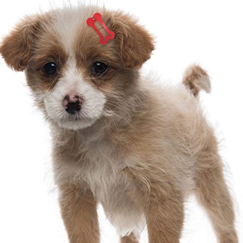 POPETPOP Pinzas para El Pelo de Mascotas para Perros Pequeños 20 Accesorios para El Pelo de Perro Clip Forma de Hueso Cola de Caballo Soportes para Uso Diario Fiesta (Color