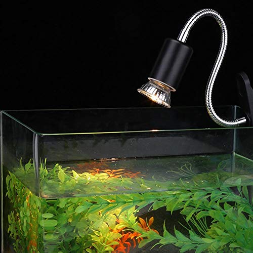Portalámparas de lámpara calefactora de 360 grados con pinza para reptiles acuarios, tortuga, lagarto serpiente (220 V)