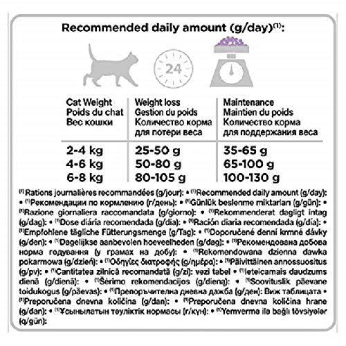 Pro Plan - Comida para Gatos (10 kg, Transparente)