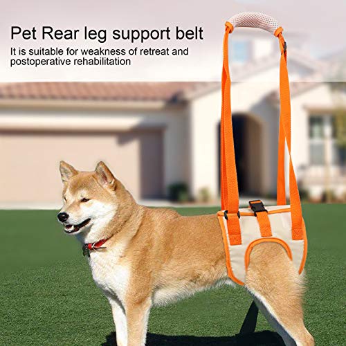 Pssopp Arnés de elevación para Perros Ajustable Transpirable Soporte para piernas traseras para Perros Chaleco de rehabilitación para Mascotas para Ancianos discapacitados(XL)