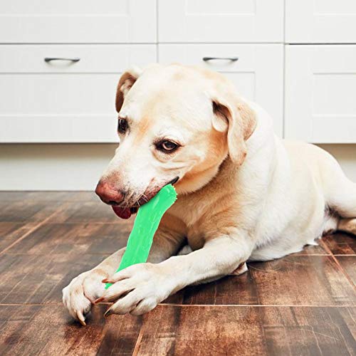 Pssopp Juguetes para Masticar Hueso de Perro Mordedores para Perros en Forma de Hueso Juguete para Limpiar Dientes Juguete Molar Squeaker Juguetes para Perros Juguetes (Verde L)