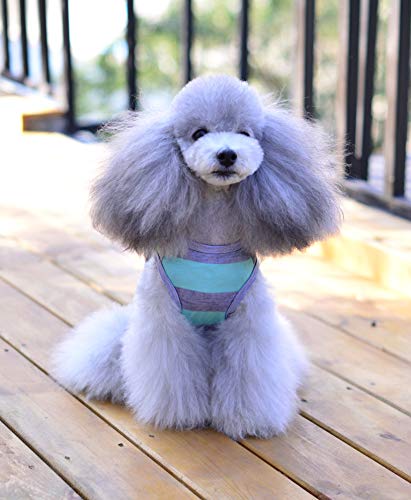 Puppy Face Camisa de perro para cara de cachorro con tiras de color azul claro y gris