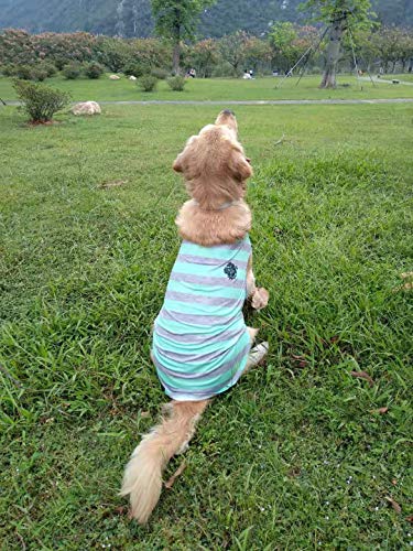 Puppy Face Camisa de perro para cara de cachorro con tiras de color azul claro y gris