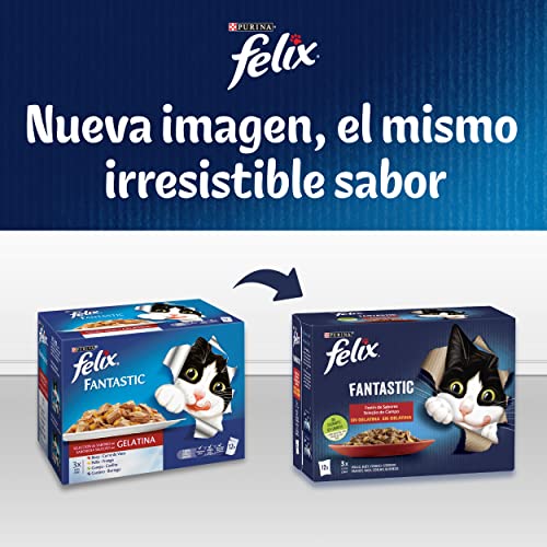 Purina Felix Fantastic Festín Gelatina comida para gatos Selección Surtido de Pescados 6 x [12 x 85 g]
