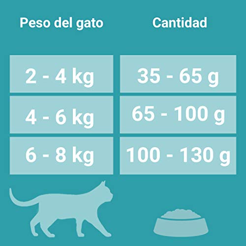 PURINA ONE Bifensis Pienso para Gatos Cuidado de Pelaje y Bolas de Pelo Pollo y Cereales 8 x 800 g