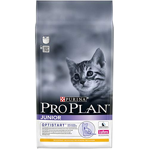 Purina® Pro Plan® Gato Pienso Original Kitten OPTISTART Pollo Alimento para Gatitos Pequeños (1,5 kg)