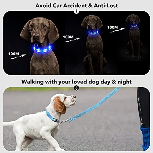 PZRLit Collar Luminoso Perro Recargable con 3 Modos de iluminación Collar Luz Perro Noche de Seguridad, Ajustable para Cachorros Pequeños, Medianos y Grandes Collar LED Perro Luminoso-Azul,Pequeño
