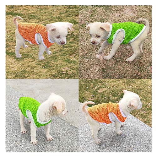 QiCheng & LYS Camiseta para Perros de 2 Piezas, Chaleco Deportivo para Perros, Suave y Transpirable Adecuado para Perros pequeños y medianos (Naranja/Verde, XS)