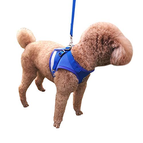 QiCheng&LYS Chaleco de Viaje Regular de Malla Transpirable con Cinturón de Seguridad para Perros y Gatos Chaleco de Seguridad para Mascotas (Azul, XS)
