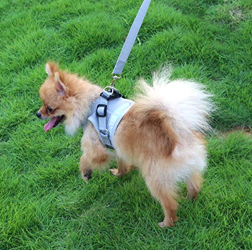 QiCheng&LYS Chaleco de Viaje Regular de Malla Transpirable con Cinturón de Seguridad para Perros y Gatos Chaleco de Seguridad para Mascotas (Gris, L)