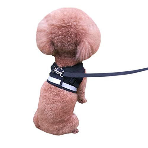 QiCheng&LYS Chaleco de Viaje Regular de Malla Transpirable con Cinturón de Seguridad para Perros y Gatos Chaleco de Seguridad para Mascotas (Negro, M)