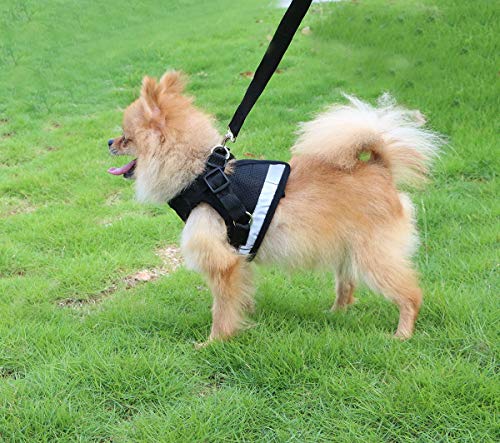QiCheng&LYS Chaleco de Viaje Regular de Malla Transpirable con Cinturón de Seguridad para Perros y Gatos Chaleco de Seguridad para Mascotas (Negro, M)