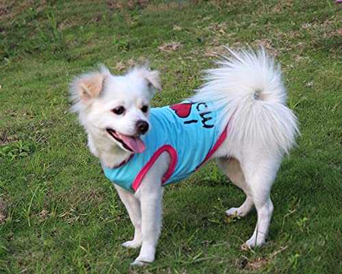 QiCheng&LYS Chaleco Perro,Camiseta Perro pequeño, Camiseta Deportiva Suave y cómoda (2 Piezas Rosado/Azul, L)