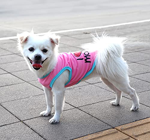 QiCheng&LYS Chaleco Perro,Camiseta Perro pequeño, Camiseta Deportiva Suave y cómoda (2 Piezas Rosado/Azul, L)