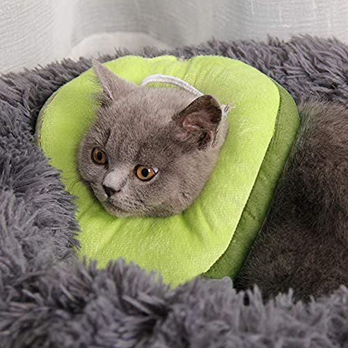QSXX Collar Labelino Gato, 1 Pieza Collares de Recuperación para Gatos,Collar Ajustable para Recuperación de Gatos Antimordeduras y Recuperación de Heridas Isabelina,Collar de Borde Suave