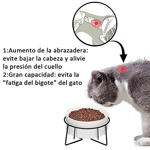 Queta Cuenco para Gatos Alimentador de Agua para Mascotas sin Derrames Cuenco para Gatos con Soporte de Metal para Perros y Gatos Pequeños y Medianos (Blanco)