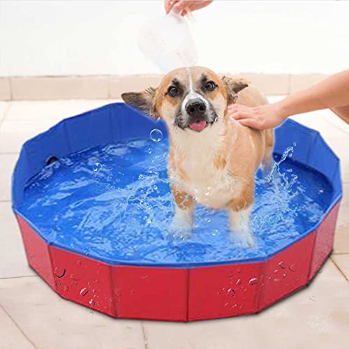 QWLHZW Piscina para Perros de plástico Duro Plegable, bañera portátil para niños Perros y Gatos, Piscina de vadear para Interiores y Exteriores (Color : Red)