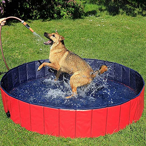QWLHZW Piscina para Perros de plástico Duro Plegable, bañera portátil para niños Perros y Gatos, Piscina de vadear para Interiores y Exteriores (Color : Red)