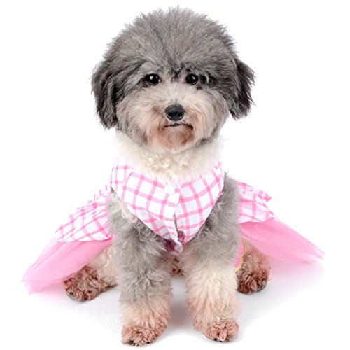 Ranphy - Vestido de tutú para perro o gato, con diseño de flor y lazo. Tallas XS a XL, para perros pequeños.