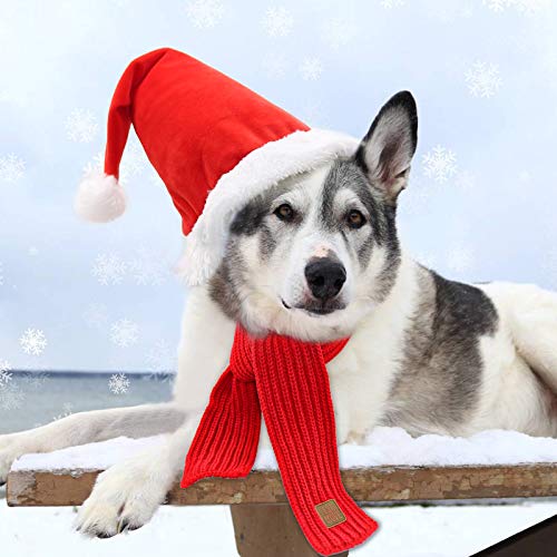 RANYPET Gorro de Navidad para perro, bufanda y gorro de Navidad, para perros pequeños, medianos y grandes