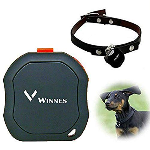 Rastreador de mascotas Petmiler®TKSTAR con GPS a la moda, para perros y otras mascotas, con localizador, plataforma de seguimiento en línea