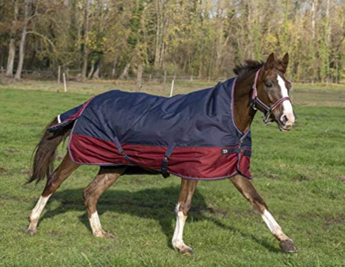 Reitsport Amesbichler Tyrex Equiteme - Manta para caballo (1200 denier, forro interior de nailon, impermeable, transpirable, correas cruzadas, etc.), 150 cm