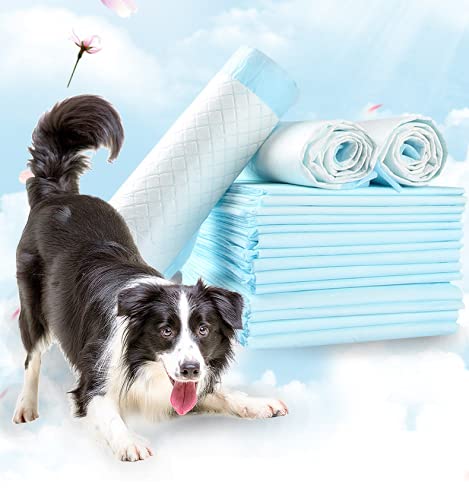 RESTAR Empapadores de Entrenamiento para Perros Gatos Perfumes con Feromonas para Atraer los Cachorros y Simplificar el Entrenamiento Producto Mascotas (60X90CM, 50PCS)