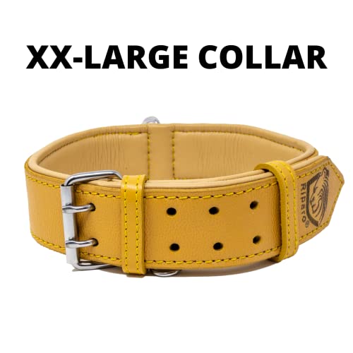 Riparo Collar de perro acolchado de cuero genuino Collar de mascota ajustable K-9 fuerte (XL: 4,5cm de ancho para cuello de 55,9cm - 63,5cm, Camello)