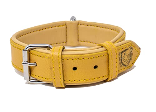 Riparo Collar de perro acolchado de cuero genuino Collar de mascota ajustable K-9 fuerte (XL: 4,5cm de ancho para cuello de 55,9cm - 63,5cm, Camello)
