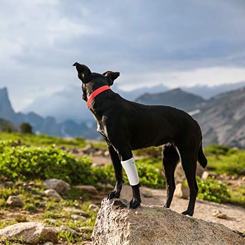 RockPet Órtesis Curadora Articulación Pata Delantera de Perro Envoltura Canina de Corvejón (XXS/XS, Gris)
