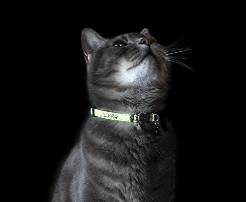 Rogz Catz GLOWCAT Collar, Gato Negro