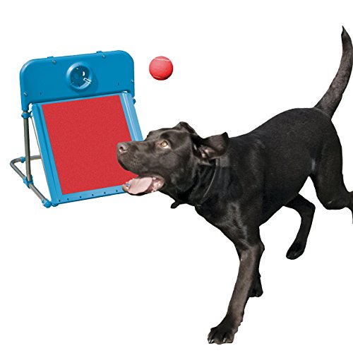 Rosewood - Pelota de Flyball de Agilidad para Perro