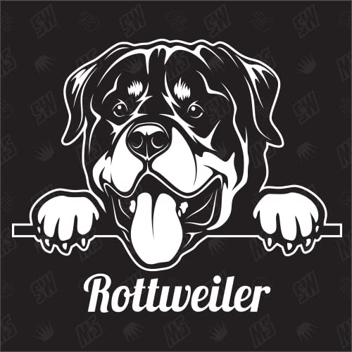 Rottweiler versión 2 - pegatina, pegatina para perro, pegatina para parachoques, perro, razas de perros, pegatina, perro pedigrí, mestizo, mezcla, animales, mascota