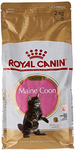 Royal Canin 36 Saco de pienso para gatito Maine Coon