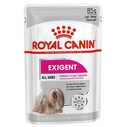 ROYAL CANIN Alimento húmedo Exigent para Perros con Apetito Exquisito, Textura Paté, Caja Completa 12 Sobres x 85 gr