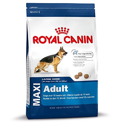 Royal Canin - Alimento seco para perros grandes (26 a 45 kg) de edad de 15 meses a 5 años, 15 kg