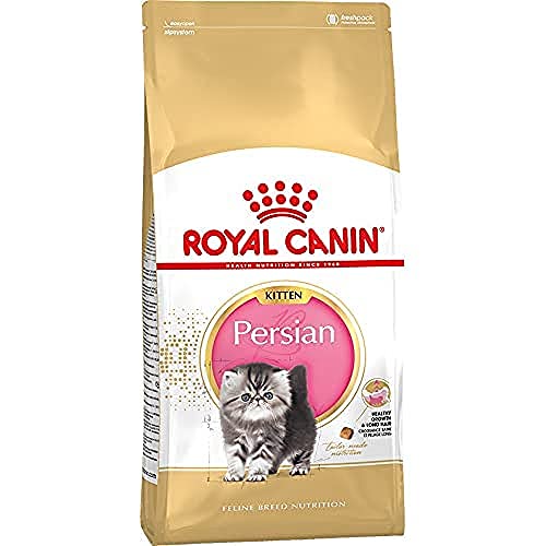 Royal Canin C-58428 Gatito Persian - 10 Kg