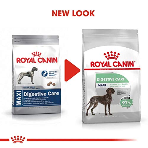 ROYAL CANIN CCN Maxi Digestive Care 10000 g