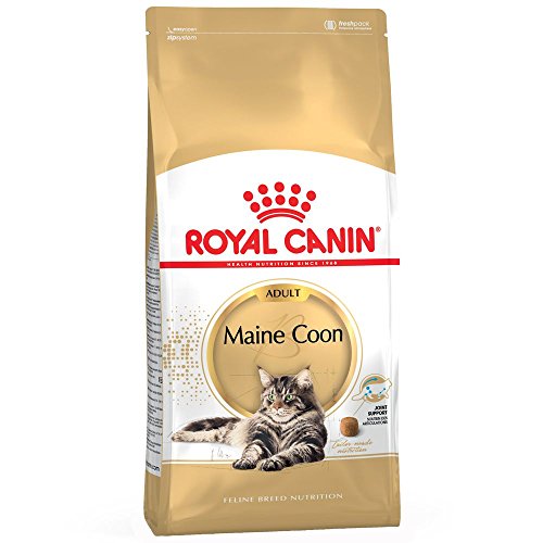Royal Canin Comida para gatos de Maine Coon para adultos, 4 kg, vendido por Maltby's