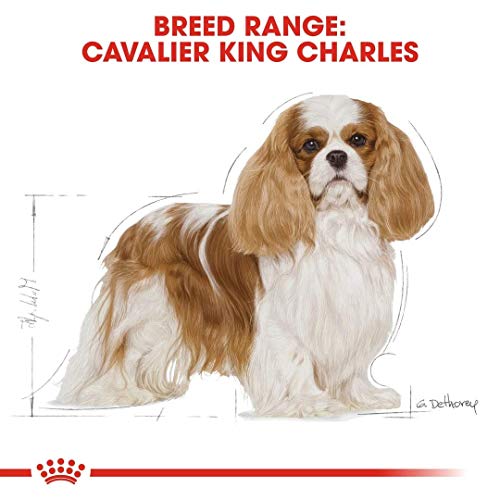 Royal Canin Comida para Perros Cavalier King Charles 27 Dry Mix 7,5 kg