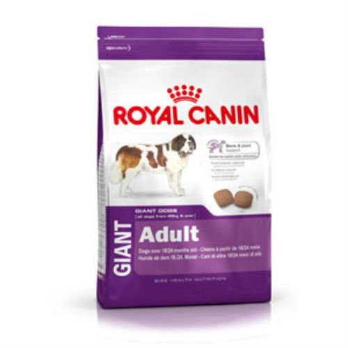 Royal Canin - Comida para perros gigante para adultos con aves de corral de 15 kg