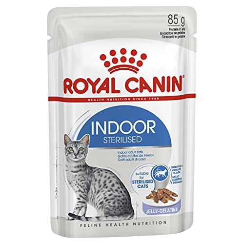 ROYAL CANIN Indoor Sterilised Gatos, Bocaditos en Gelatina, Caja 12 x 85 gr