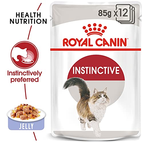 ROYAL CANIN Instinctive Comida Gatos - Paquete de 12 x 85 gr - Total: 1020 gr