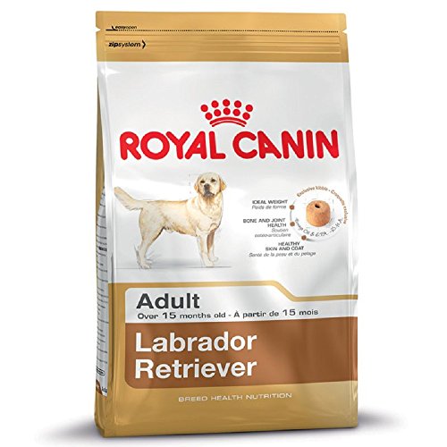 ROYAL CANIN Labrador Retriever - Alimento seco para perros para adultos de 15 meses o más, paquete de 2 x 12 kg