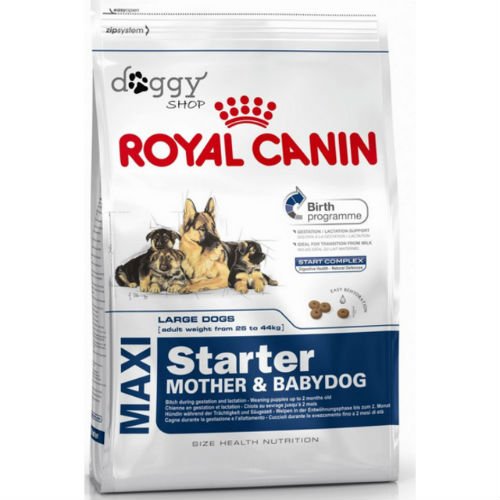 Royal Canin Maxi Starter - Comida para madre y bebé, 15 kg