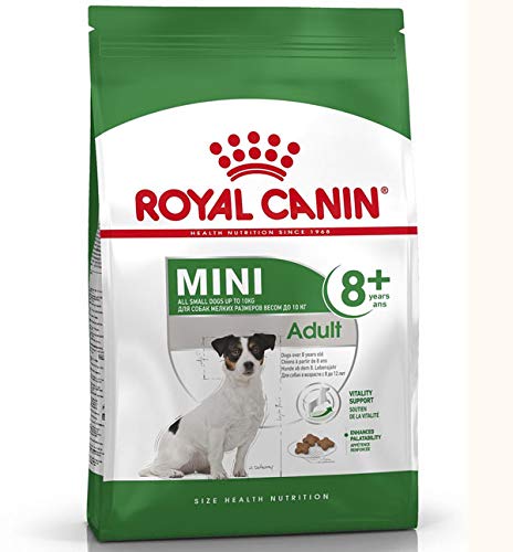 ROYAL CANIN Mini Adult 8+ - Comida para Perros (800 g)