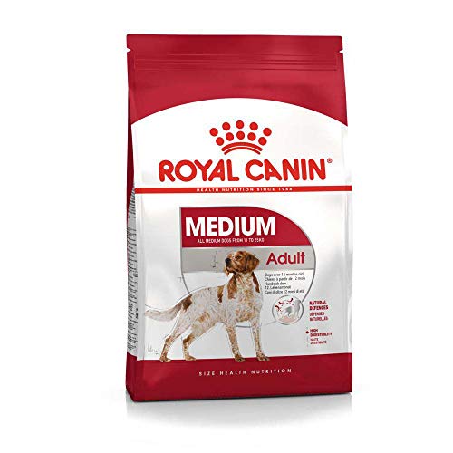 Royal Canin - Royal Canin Medium Adult 7+ - 4 Kg