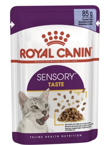 Royal Canin Sensory Taste Comida húmeda en jalea para gatos exigentes, 12 x 85 g