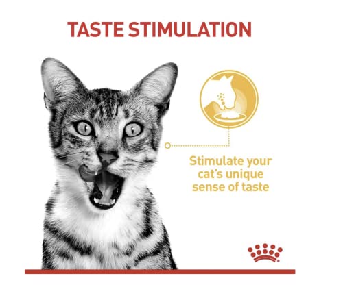 Royal Canin Sensory Taste Comida húmeda en jalea para gatos exigentes, 12 x 85 g